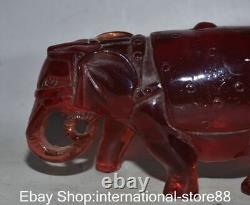 6.8 Ancienne sculpture chinoise en ambre rouge sculptée en forme d'éléphant Feng Shui Ruyi chanceux
