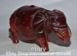 6.8 Ancienne sculpture chinoise en ambre rouge sculptée en forme d'éléphant Feng Shui Ruyi chanceux