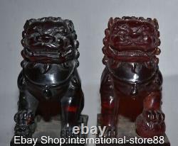 6.8 Paire de statues rares de lions Fu en ambre rouge chinois ancien sculpté Feng Shui