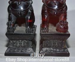 6.8 Paire de statues rares de lions Fu en ambre rouge chinois ancien sculpté Feng Shui