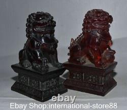 6.8 Rare Vieux Chinois Rouge Ambre Carving Feng Shui Foo Chien Statue Paire De Lion