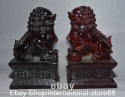 6.8 Rare Vieux Chinois Rouge Ambre Carving Feng Shui Foo Chien Statue Paire De Lion