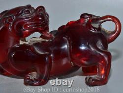 6.8 Vieil Ambre Rouge Chinois Sculpté Fengshui Pixiu Best Wealth Bixie Statue