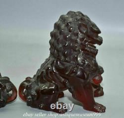 6 Rare Rouge Chinois Ambre Carving Feng Shui Foo Dog Lion Bête Chance Sculpture