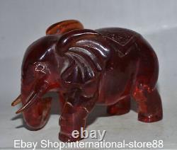 6 vieilles sculptures chanceuses en ambre rouge chinois taillées en forme d'éléphant Feng Shui Ruyi