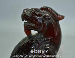 7.2 Rare Rouge Chinois Ambre Carving Feng Shui Pixiu Licorne Dragon Beast Statue