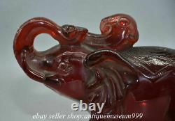 7.2 Rare Rouge Chinois Ambre Carving Feng Shui Ruyi Elephant Luck Sculpture