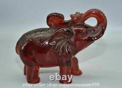 7.2 Rare Rouge Chinois Ambre Carving Feng Shui Ruyi Elephant Luck Sculpture