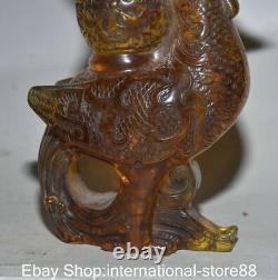 7.2 Rare Vieux Chinois Rouge Ambre Carving Feng Shui Phoenix Dieu Vase De Bouteille D'oiseau