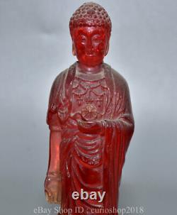 7.2 Vieille Ambre Rouge Chinoise Sculpté Tathagata Amitabha Bouddha Lotus Statue