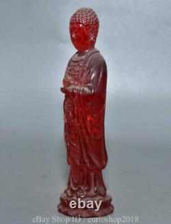 7.2 Vieille Ambre Rouge Chinoise Sculpté Tathagata Amitabha Bouddha Lotus Statue