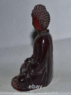 7.4 Ancien Tibet Bouddhisme Ambre Rouge Sculpté Shakyamuni Sakyamuni Bouddha Statue