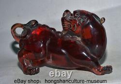 7.6 Ancien Rouge Chinois Ambre Sculpté Fengshui Animal Pixiu Bête Statue De Richesse
