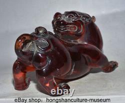 7.6 Ancien Rouge Chinois Ambre Sculpté Fengshui Animal Pixiu Bête Statue De Richesse
