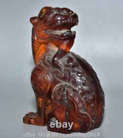 7 Chine Rouge Ambre Sculpté Fengshui Animal Pixiu Bête Richesse Bixie Statue