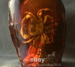 8.2 Recueillir L'ancienne Chine Rouge Ambre Sculptée Animaux Crabe Decor Statue Sculpture
