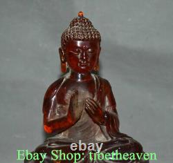 8.4 Ancien Rouge Chinois Amber Shakyamuni Amitabha Bouddha Sculpture Statue
