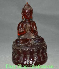 8.4 Ancienne sculpture de bouddha Shakyamuni Amitabha en ambre rouge chinois
