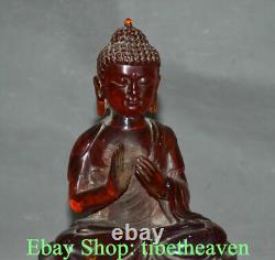 8.4 Ancienne sculpture de bouddha Shakyamuni Amitabha en ambre rouge chinois