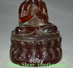 8.4 Ancienne sculpture en ambre rouge chinois du Bouddha Shakyamuni Amitabha