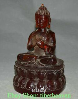 8.4 Ancienne sculpture en ambre rouge chinois du Bouddha Shakyamuni Amitabha