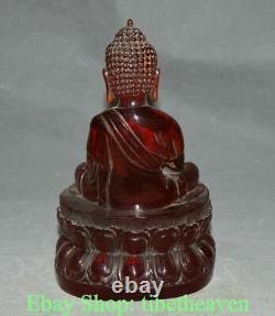 8.4 Ancienne sculpture statue du Bouddha Shakyamuni Amitabha en ambre rouge chinois