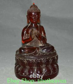 8.4 Vieille Statue Chinoise De Sculpture De Bouddha D’ambre Rouge Shakyamuni Amitabha