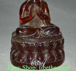 8.4 Vieille Statue Chinoise De Sculpture De Bouddha D’ambre Rouge Shakyamuni Amitabha