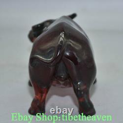 8 Rare Chinois Rouge Ambre Carving Feng Shui Bull Oxen Ox Luck Sculpture