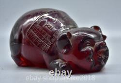 8 Vieilles statues de sanglier sculptées en ambre rouge chinois Fengshui Zodiac Animal Year.