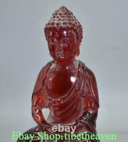 9.2 Rare Ambre Rouge Chinois Carving Shakyamuni Amitabha Bouddha Base Sculpture