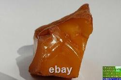 Antique Baltic Natural Amber Stone 63 G Fedex Livraison Rapide