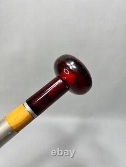 Canne de marche en chêne avec poignée en boule d'ambre rouge cerise translucide en bakélite antique
