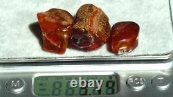 Rare Antique Amber 5 Pierres de Couleur Cerise Foncée Anciennes Pièces Rares d'Europe