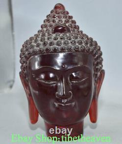 Sculpture de tête rare de Bouddha Shakyamuni Amitabha en ambre rouge chinois