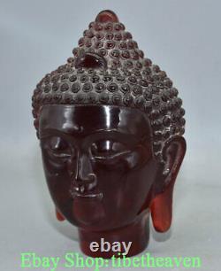 Sculpture de tête rare de Bouddha Shakyamuni Amitabha en ambre rouge chinois