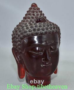 Sculpture rare de tête de Bouddha Shakyamuni Amitabha en ambre rouge chinois